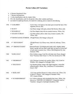 Porter Lilies (43 Varieties)