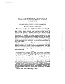 THE ANTIBODY RESPONSE OF RATS DEPLETED OF