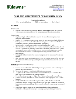 care and maintenance of your new lawn