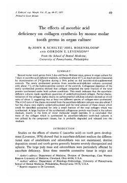 The effects of ascorbic acid deficiency on collagen