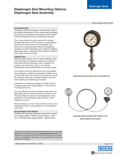 Capillary Line - WIKA Instrument, LP