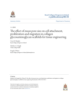 The effect of mean pore size on cell attachment, proliferation and