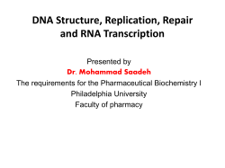 DNA structure, replication, and repair