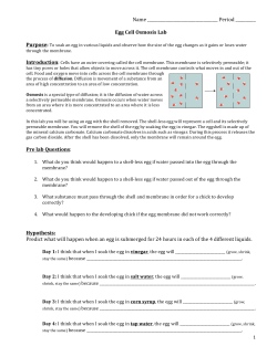 Egg Cell Osmosis Lab 2015 - District 196 e