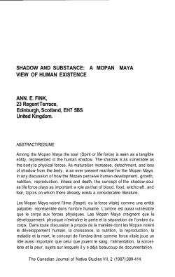 shadow and substance: a mopan maya view of human existance