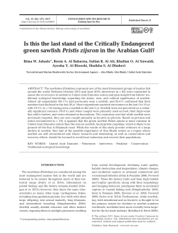 Full text in pdf format