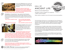 Grades 9-12 teacher guide - Sam Noble Museum