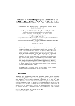 Influence of Wavelet Frequency and Orientation in an SVM