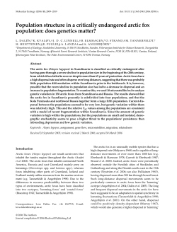 Population structure in a critically endangered arctic fox population