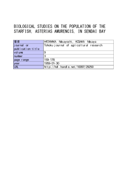 STARFISH, ASTERIAS AMURENCIS, IN SENDAI BAY