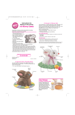 3-D Bunny Cakes
