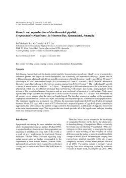 Growth and reproduction of double-ended pipefish