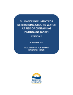 Guidance Document for Determining Ground Water at Risk of