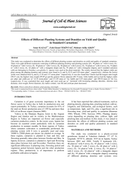 the effects of different planting systems and densities