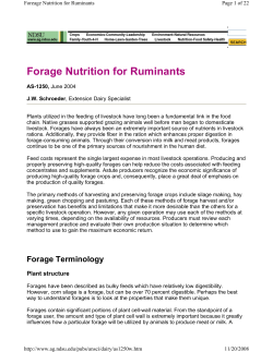 Forage Nutrition for Ruminants