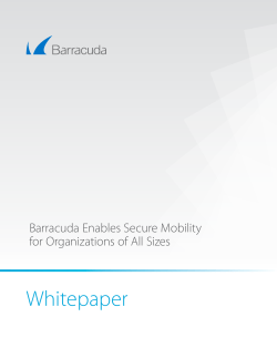 Enables Secure Mobility for Organizations of All Sizes