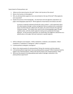 Study Guide for Photosynthesis Lab 1. Where are the stoma found