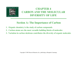 CHAPTER 4 CARBON AND THE MOLECULAR DIVERSITY OF LIFE