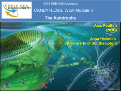 CANDYFLOSS, Work Module 3 The Autotrophs
