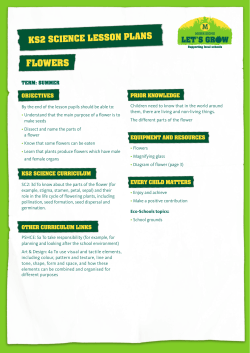 flowers - Morrisons