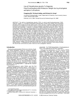 Molecular Weight during Alcaligenes eutrophus Cultivations