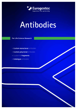 Antibodies Brochure