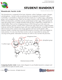 Biomolecule: Nucleic Acids