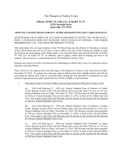 The Pinnacle at Turkey Creek