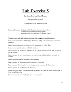 Lab Exercise 5