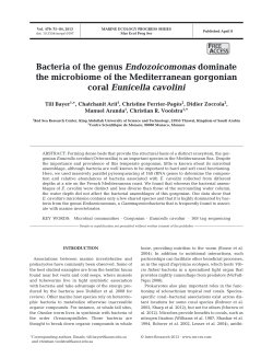 Bacteria of the genus Endozoicomonas dominate the microbiome of