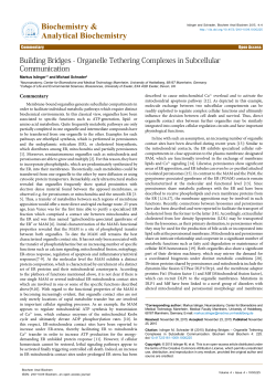 Building Bridges - Organelle Tethering Complexes in Subcellular