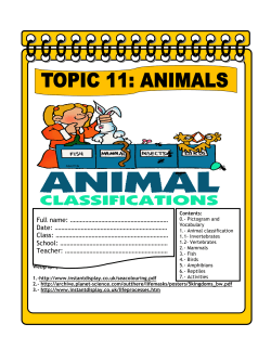 topic 11 animals - IES Sant&iacute;sima Trinidad