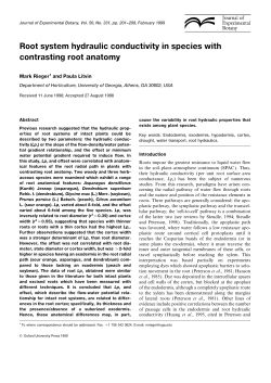 Root system hydraulic conductivity in species