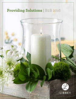 Providing Solutions | B2B 2016