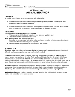 Animal Behavior (Wet-Lab)