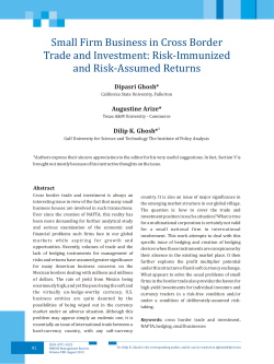 Small Firm Business in Cross Border Trade and Investment