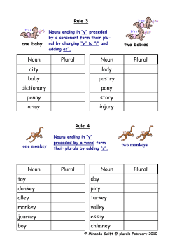 Noun Plural city baby dictionary penny army Noun Plural lady pastry