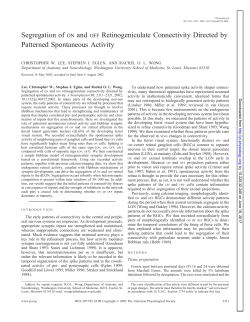 Segregation of ON and OFF Retinogeniculate Connectivity Directed