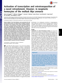 Activation of transcription and retrotransposition of a novel