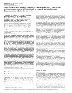 Millepachine, a novel chalcone, induces G2/M