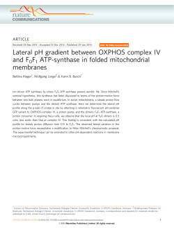 Lateral pH gradient between OXPHOS complex IV and F0F1 ATP