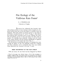 Fire Ecology of the Valdivian Rain Forest