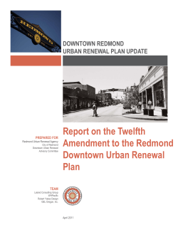 Report on the Twelfth Amendment to the Redmond Amendment to