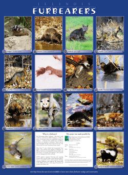 IL fur bearers - Fermilab Natural Areas
