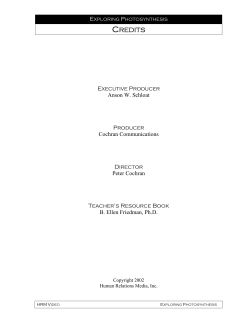 as a PDF