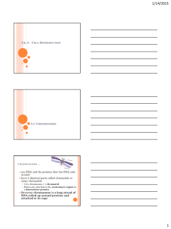 Ch. 8 &ndash; Cell Reproduction