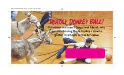 If donkeys are man`s other best friend, why are men forcing them to