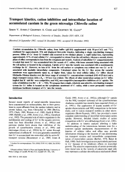 Transport kinetics, cation inhibition and intracellular location of