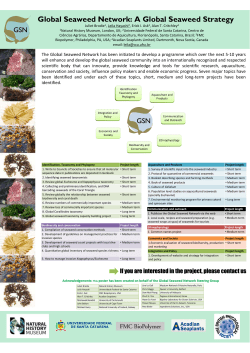 Global Seaweed Network poster PDF