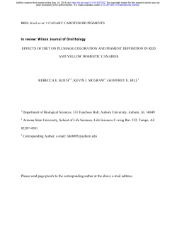 RRH: Koch et al. &bull; CANARY CAROTENOID PIGMENTS In
